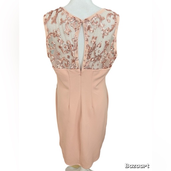 Blu Sage Womens Dusty Rose Dress Size 16P Sequin Upper Sleeveless Open Back - Picture 4 of 5